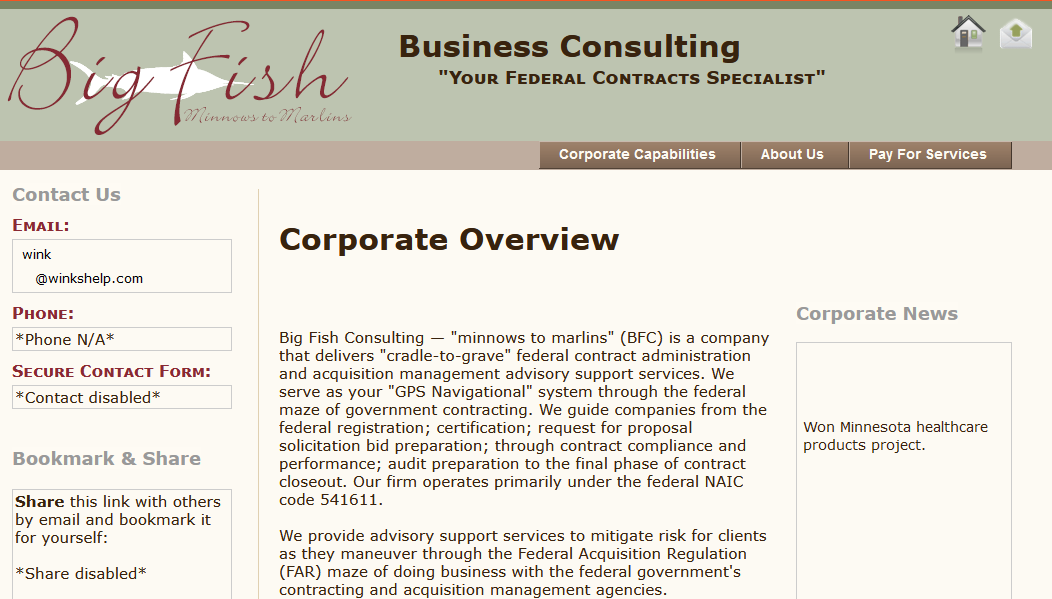 Big Fish Consulting